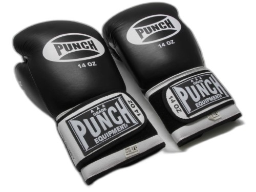 Punch equipment clearance boxing gloves