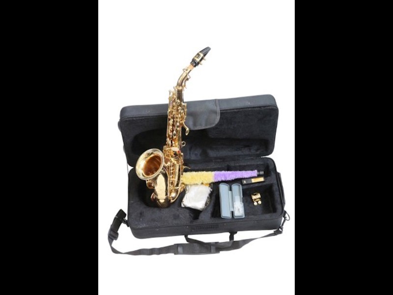 New Blue and Gold Alto Saxophone in Case - Suitable for both Professionals  Age 9