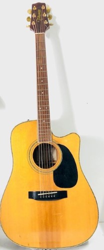 takamine eg335sc