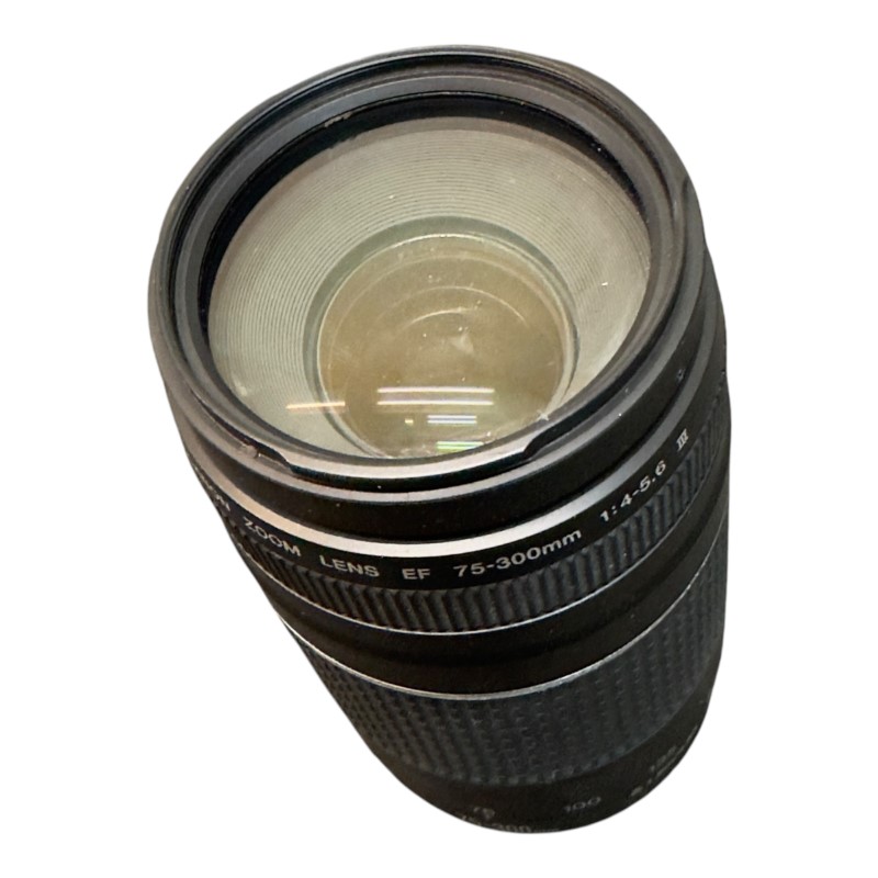 Top Canon EF lens 75-300mm