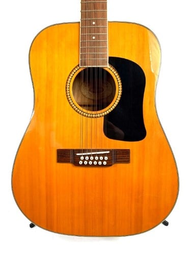 Washburn d10s deals 12 string