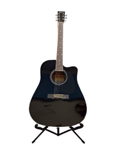 freedom semi acoustic guitar