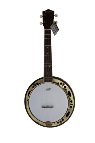 Remo weatherking deals banjo