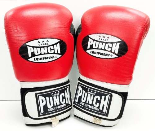 aaa punch boxing gloves