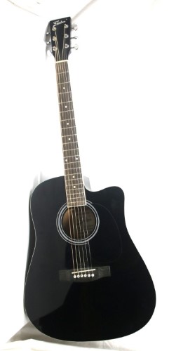 freedom semi acoustic guitar